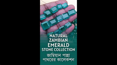 Natural Zambian Emerald Panna Zamrud Collection অরজনল জমবযন