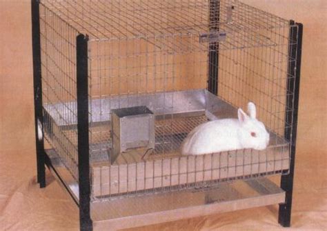 HD Animals: Rabbit cages