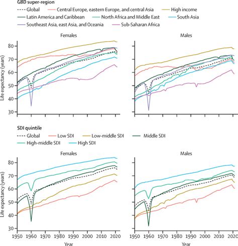 Global Age Sex Specific Mortality Life Expectancy And Population Estimates In Countries