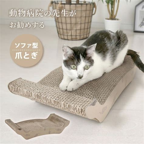 【楽天市場】爪とぎ 猫 動物病院の先生がお勧め ソファ型 ダンボール かわいい 段ボール 頑丈 ガリガリ ねこ つめとぎ ペット用品 ベッド