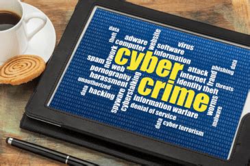 Cybercrime: The Complete Guide to All Things Criminal on the Web