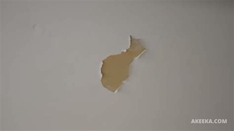 How To Fix Chipped Paint On Wall | AKEEKA.COM