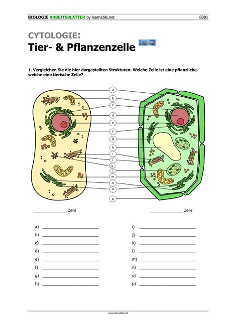 Arbeitsblatt Biologie Zelle