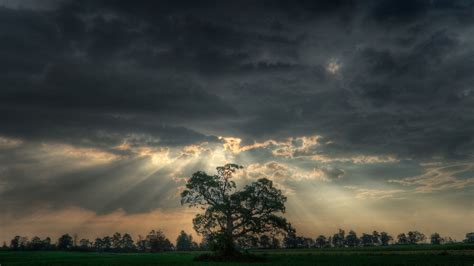 Trees Clouds Sky HD Wallpapers - Wallpaper Cave