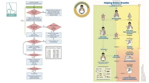 Challenges And Management Of Late Preterm Infants