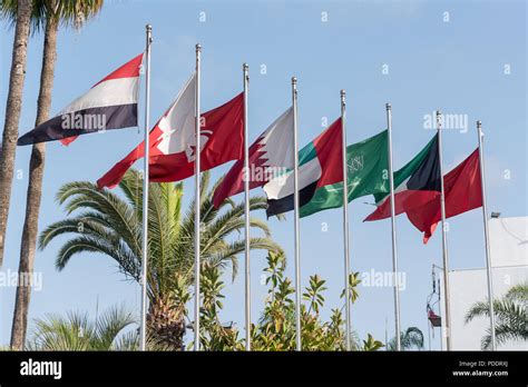 Flags Of MENA Middle East And North Africa On A Series Of Flagpoles