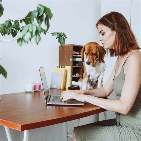 Working from Home Deductions Guide | Colledges Accountants