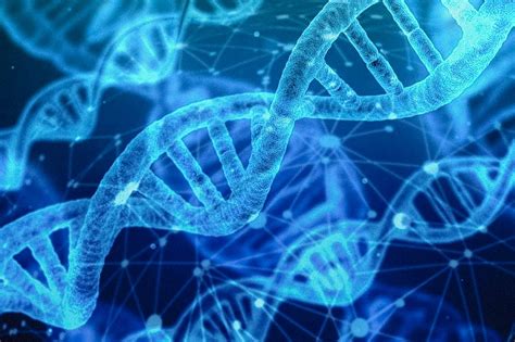 Omik Tools - Use in Personalized Medicine - Oberender AG