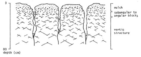 Gilgai Surface Morphology In Vertisols Might Explain The Mounds In