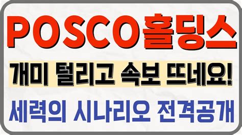 Posco홀딩스 Posco홀딩스주가전망posco홀딩스주가posco홀딩스전망posco홀딩스분석posco홀딩스목표가posco홀딩스종목진단2차전지염호리튬수직계열화