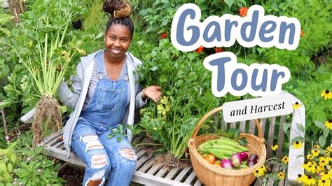 My Chaotic August Garden Tour And Harvest Irie Gardens YouTube