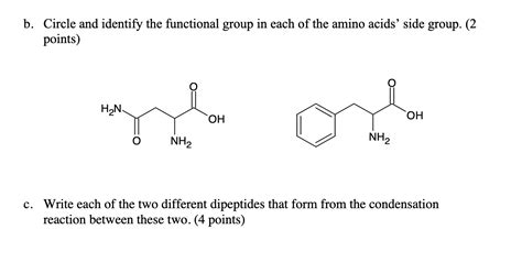 Solved Answer the questions about the two following amino | Chegg.com 