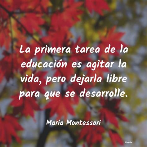 Total 33 Imagen Maria Montessori Frases Celebres Abzlocalmx