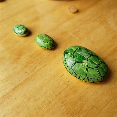 Turtle Shell Hand Painted Rocks for Home Decoration or to Add Some Life ...