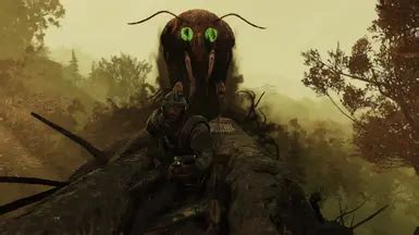 The Mothman and I at Fallout 76 Nexus - Mods and community