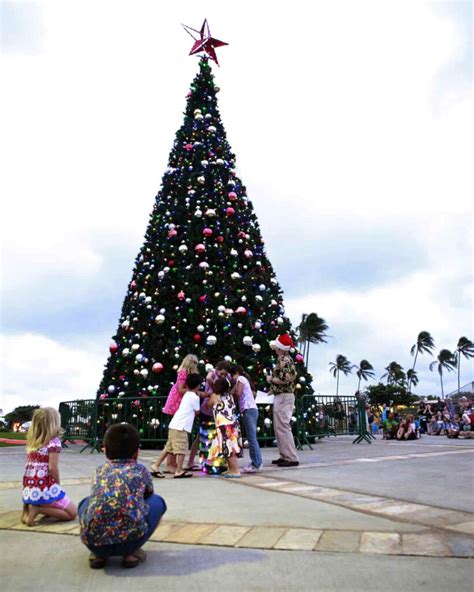 Christmas in Hawaii: Traditions, Celebrations, and History - Malevus