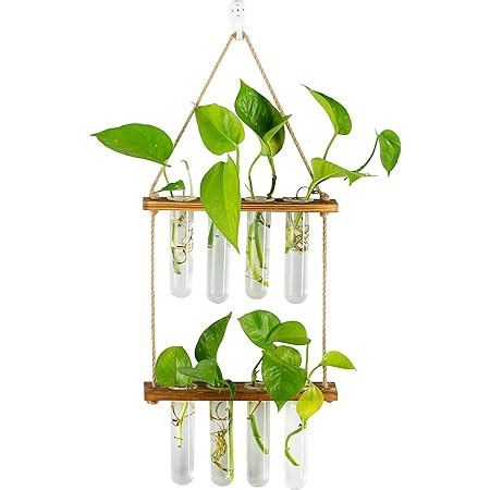 NUPTIO 4 Stücke Wandbehang Glas Pflanzgefäße Blumentopf Wasser