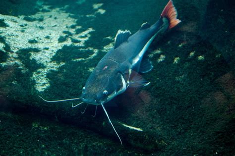 The 30 Most Shocking Government Secrets