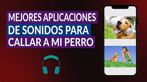 Cuáles son las Mejores Aplicaciones con Sonidos para Callar a mi Perro