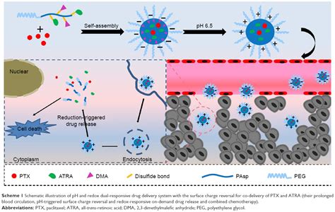 Ph And Redox Dual Responsive Copolymer Micelles With Surface Charge Re