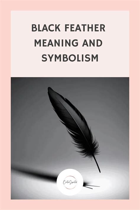 Black Feather Meaning And Symbolism in 2024 | Feather meaning, Black ...