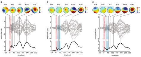 Teps Evoked By A Supra Threshold Stimulation Of The M1 B