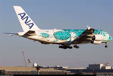 JA382A All Nippon Airways Airbus A380 841 Photo By Lolo ID 1534835