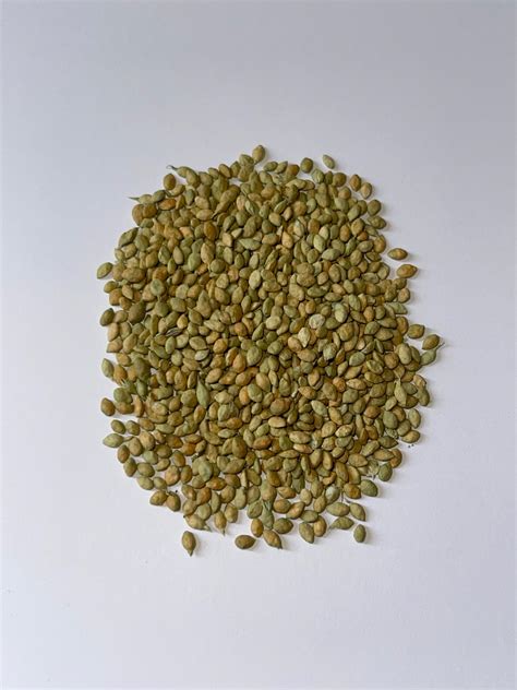 Pensacola Bahiagrass 50 Lb Bag Mbs Seed