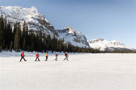 The Ultimate Guide To Camping In Banff National Park