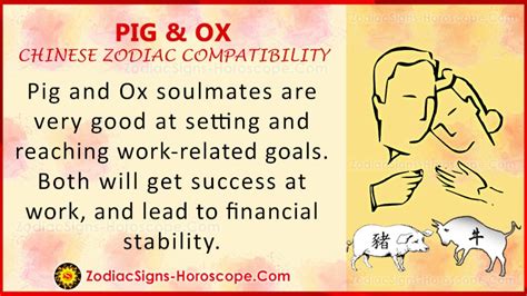 Pig and Ox Compatibility: Chinese Zodiac Traits and Love Compatibility