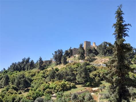 Från Amman Privat rundtur i Jerash Ajlouns slott och Umm Qais