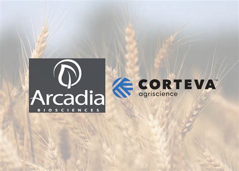 Arcadia Biosciences vende Trigo Durum RS à Corteva Agriscience