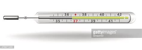 Mercury Thermometer Stock Vector | Royalty-Free | FreeImages