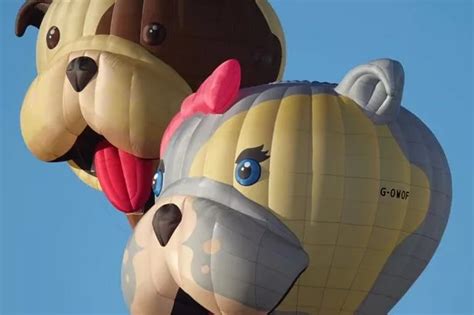 Bristol Balloon Fiesta 2023: The special shapes you might spot at this ...