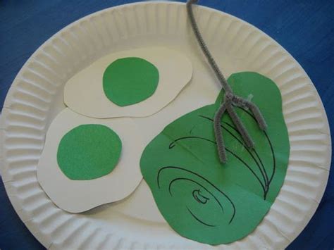 Image Result For Green Eggs And Ham Paper Plate Art Seuss Crafts