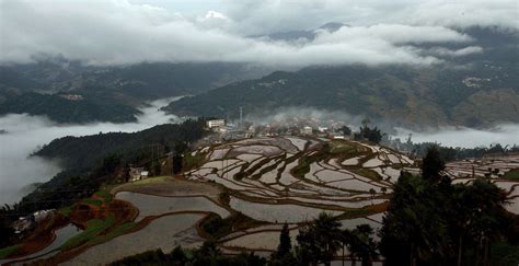 Yuanyang Rice Terraces