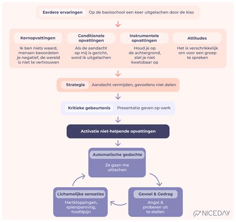 Het Cognitieve Model Niceday Online Coaching And Therapie