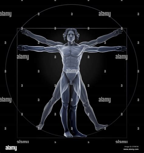 Vitruvian Man Immagini E Fotografie Stock Ad Alta Risoluzione Alamy