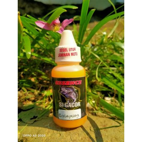 Jual Essen Si Gacor Galapung Ikan Mas Super Gacor Shopee Indonesia