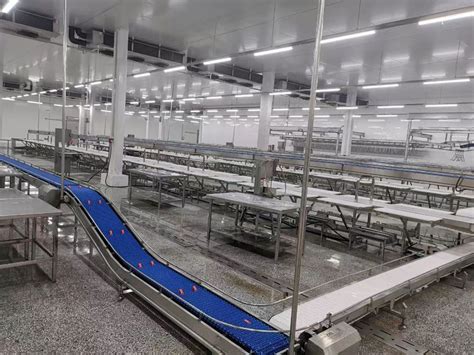 First Rate Meat Cutting And Deboning Conveyor Linefor Slaughterhouse