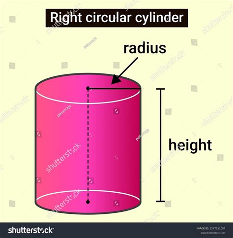 Structure Right Circular Cylinder Stock Vector Royalty Free