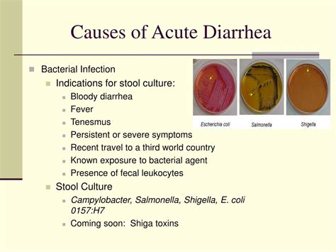 Cause of diarrhea for 3 days. Diarrhea: Causes, Symptoms, and Treatment Options for Persistent ...