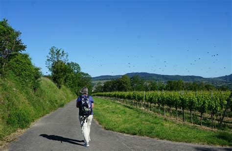 Kaiserstuhl Statt Kreuzfahrt