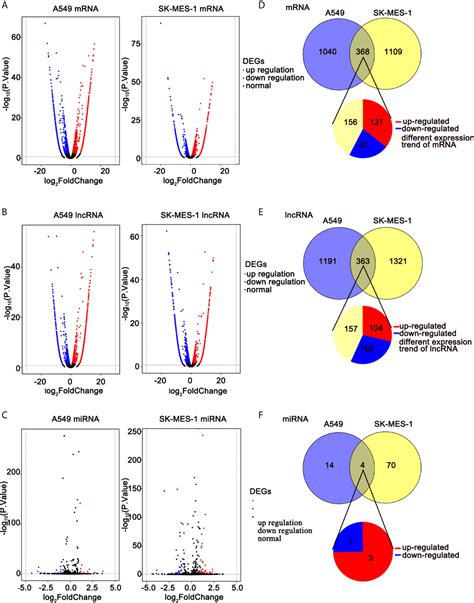 Frontiers Transcriptome Analysis Of Ivosidenib Mediated Inhibitory