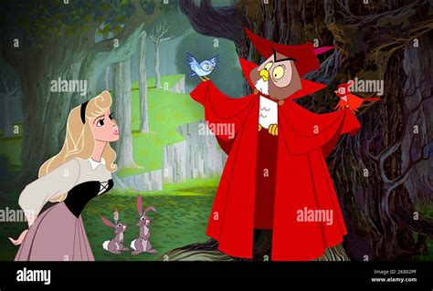 Princess Aurora Film Sleeping Beauty Usa 1959 Director Clyde