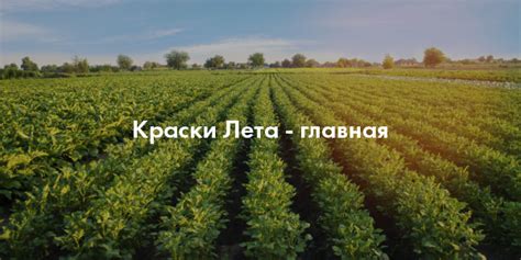 Краски Лета - главная