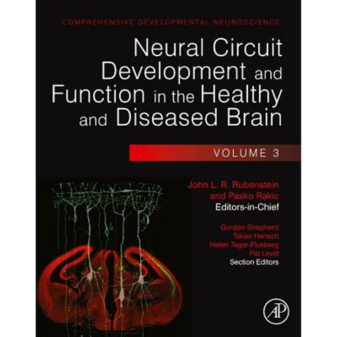 Neural Circuit Development And Function In The Healthy And Diseased Brain Comprehensive Developmental Neuroscience