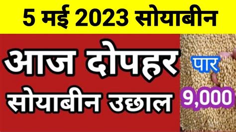 Soya भाव 5 मई 2023 सोया प्लांट भाव लाइवsoya Plant Youtube