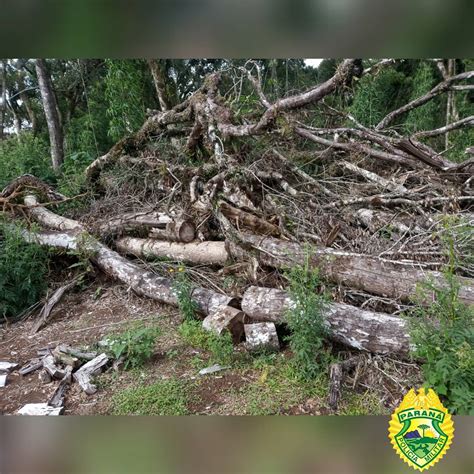 Pol Cia Ambiental Autua Infrator Em Meio Milh O De Reais Por Destruir