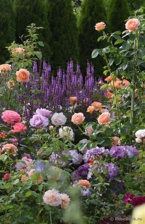 Cottage Garden Plants Cottage Garden Design Rose Garden Design Small